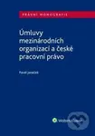 Úmluvy mezinárodních organizací a české pracovní právo - kniha z kategorie Pracovní právo