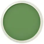 PanPastel 9ml – 660.5 Chromium Oxide Green