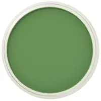 PanPastel 9ml – 660.5 Chromium Oxide Green