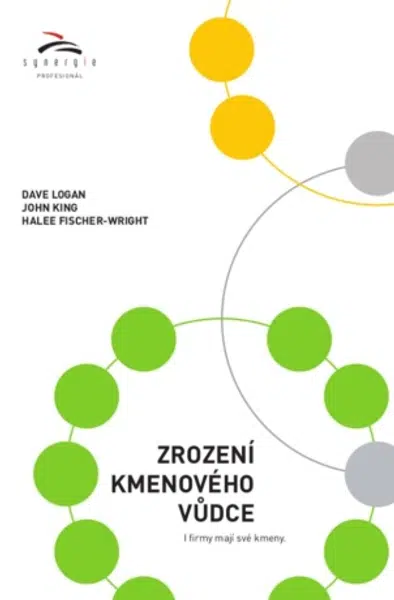 Zrození kmenového vůdce - John King, Dave Logan, Halee Fischer-Wright - e-kniha
