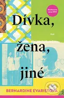 Dívka, žena, jiné - Bernardine Evaristo - kniha z kategorie Společenská beletrie
