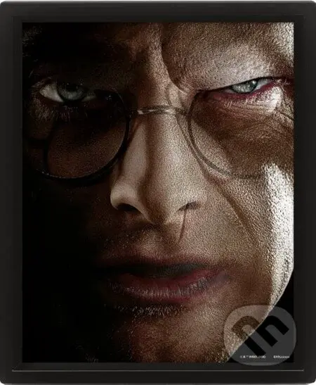 Harry Potter Obraz 3D - Harry vs Voldemort