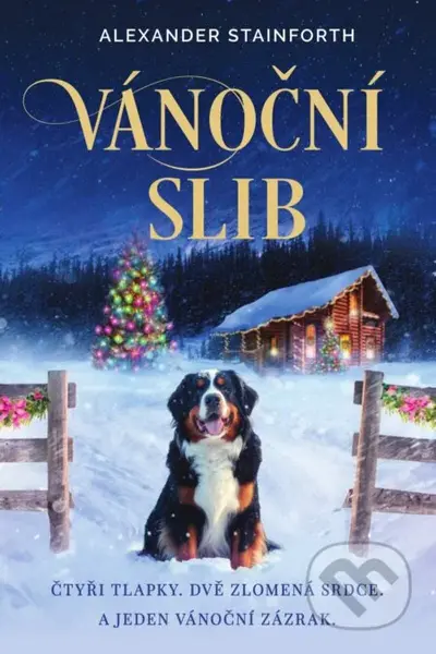 Vánoční slib - Alexander Stainforth - kniha z kategorie Romantická