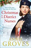 Christmas for the District Nurses - Annie Groves - kniha z kategorie Romantika