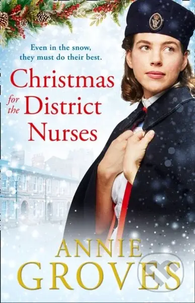 Christmas for the District Nurses - Annie Groves - kniha z kategorie Romantika