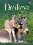 Donkeys - James Maclaine