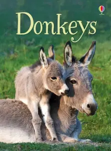 Donkeys - James Maclaine