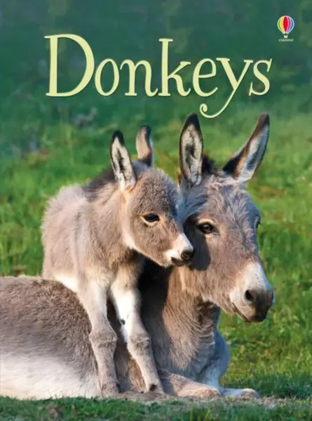 Donkeys - James Maclaine