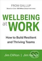 Wellbeing at Work - Jim Clifton, Jim Harter - kniha z kategorie Byznys a management