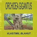 Vlastimil Blahut – Orchidea gigantus