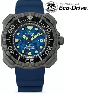 Citizen Promaster Eco-Drive Titanium BN0227-09L
