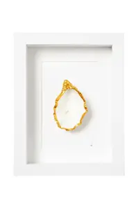 Maria el Mar  Nástenná dekorácia v ráme  Single Oyster 22 x 17 cm