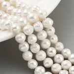 Natural Cultured Freshwater Pearl Beads Strands
