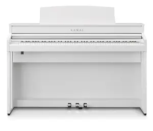 Kawai CA501W