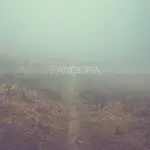 Step to the Crowd – PANDORA