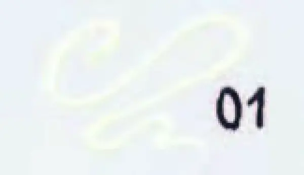 Renesans Liner Deco 20ml – Bílá