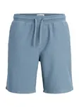 JACK & JONES Nohavice 'JPSTJaiden'  opálová