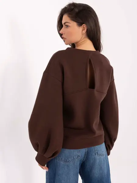 Sweatshirt-IT-BL-H2349.65-dark brown