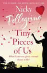 Tiny Pieces of Us - Pellegrino Nicky