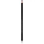 Anastasia Beverly Hills Lip Liner kontúrovacia ceruzka na pery odtieň Amethyst 1.49 g