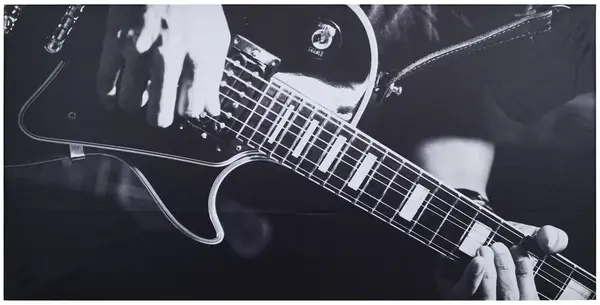 Razzor Acoustics Akustický panel - Les Paul 1200x600x50