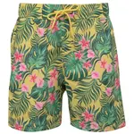 BLEND BHRADDY Pánske plavecké šortky, zelená, veľkosť