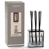 Aroma difuzér Esteban Triptyque Cedre 250 ml