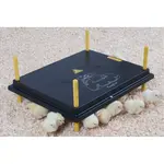 Agrofortel Umělá kvočna - výhřevná deska 40x50 cm, 46 W.