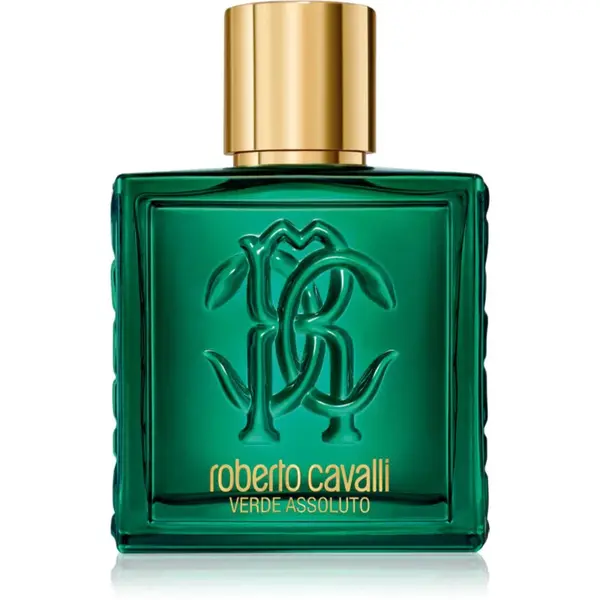 Roberto Cavalli Uomo Verde Assoluto parfémovaná voda pro muže 100 ml