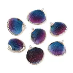 Spray Paint & Electroplate Natural Sea Shell Pendants