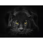 Euroart OBRAZ NA SKLE, zvířata, 30/40 cm