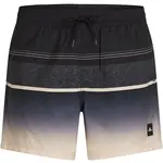 O'Neill GRADIENT 15'' Plavkové šortky, černá, velikost