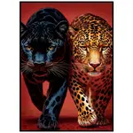 Monee OBRAZ NA SKLE, zvířata, 50/70 cm