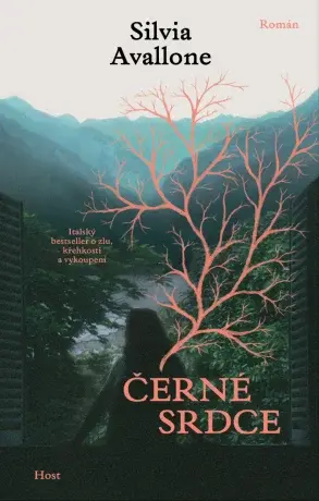 Černé srdce - Silvia Avallone - e-kniha