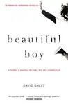 Beautiful Boy - David Sheff