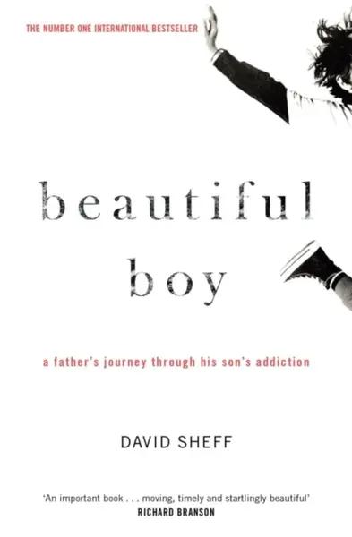 Beautiful Boy - David Sheff