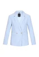 faina Blejzer  svetlomodrá