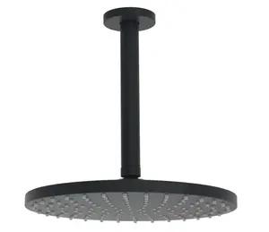 Hansa Viva - Hlavová sprcha, průměr 25 cm, matná černá 4427020033