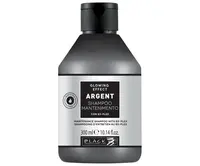 Šampon pro poškozené a lámavé vlasy Black Professional Argent Glowing Effect Shampoo - 300 ml + dárek zdarma