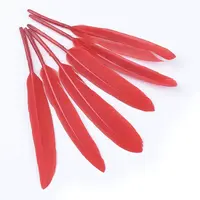 Goose Feather Costume Accessories