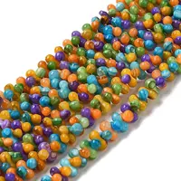 Natural Freshwater Shell Beads Strands