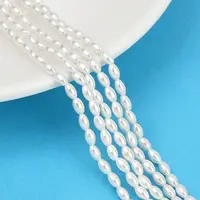 Electroplated Shell Pearl Beads Strands