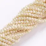 Electroplate Glass Beads Strands
