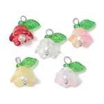 Mixed Color Glass Pearl & Acrylic Charms