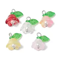 Mixed Color Glass Pearl & Acrylic Charms
