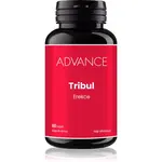 ADVANCE Tribul kapsuly na podporu zdravej hormonálnej činnosti 60 cps