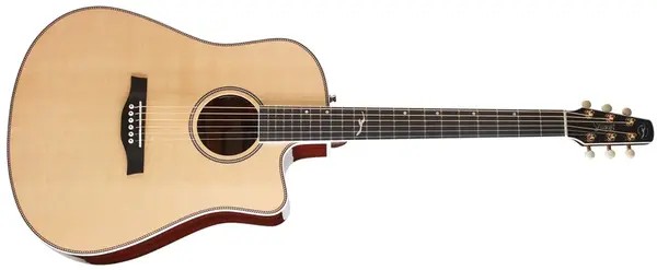 Seagull Artist Mosaic CW HG EQ (rozbalené)