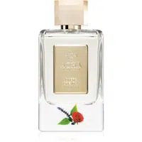 AZHA Perfumes Ombre Oriental parfémovaná voda unisex 100 ml