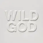 Nick Cave & The Bad Seeds – Wild God LP