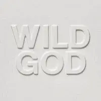 Nick Cave & The Bad Seeds – Wild God LP